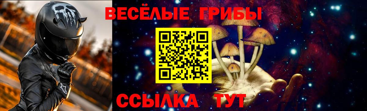 Псилоцибиновые грибы мицелий  Вход с VPN  Всеволожск 